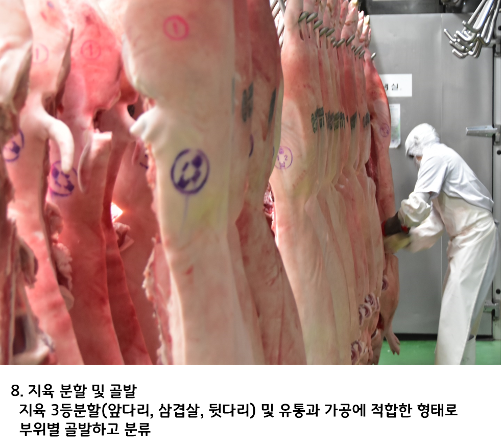 지육분할 및 골발